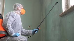 North Brooksville, FL Mold Removal Services Company